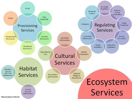 Different Ecosystem Services 